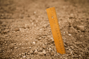 Ruler 300x200 Nadja Donauer Pixabay